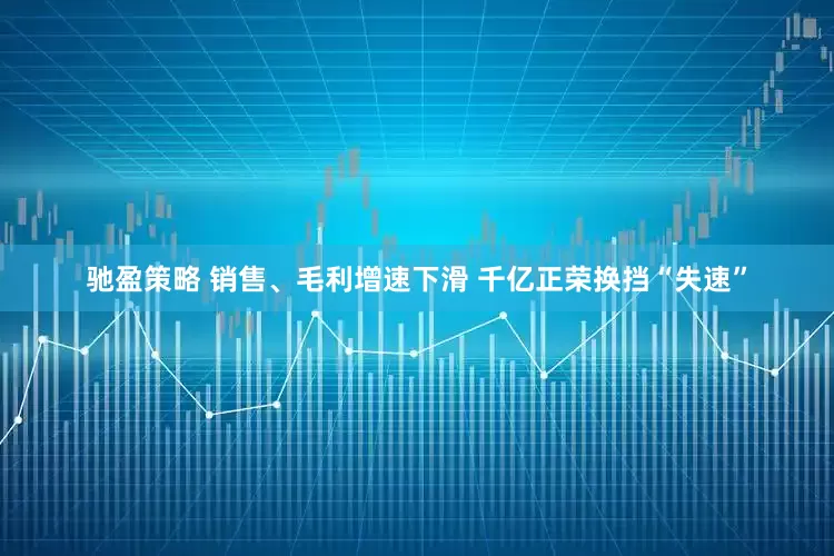 驰盈策略 销售、毛利增速下滑 千亿正荣换挡“失速”