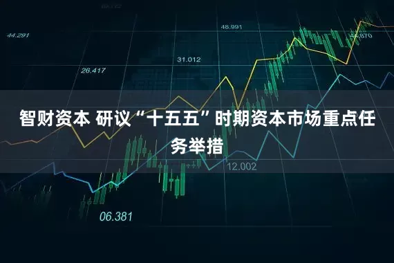 智财资本 研议“十五五”时期资本市场重点任务举措