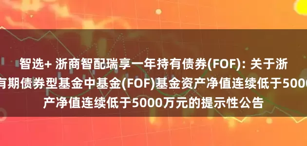 智选+ 浙商智配瑞享一年持有债券(FOF): 关于浙商智配瑞享一年持有期债券型基金中基金(FOF)基金资产净值连续低于5000万元的提示性公告